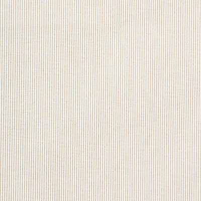Lee Jofa 2012178.16.0 Captiva Ticking Multipurpose Fabric in Straw/Beige/White