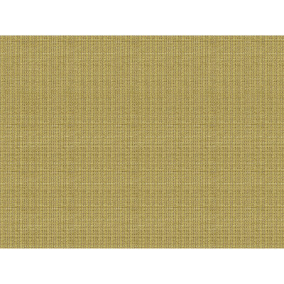 Lee Jofa 2014132.23.0 Judd Upholstery Fabric in Celery/Green