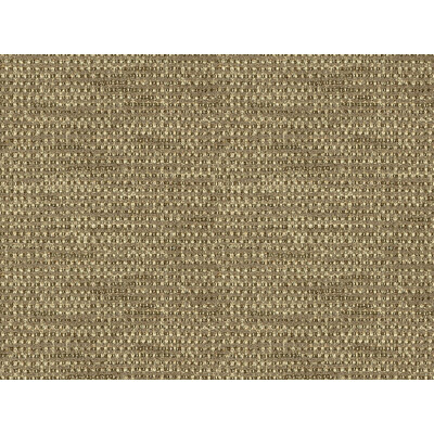 Lee Jofa 2014134.811.0 Robinson Upholstery Fabric in Charcoal/Purple/Beige