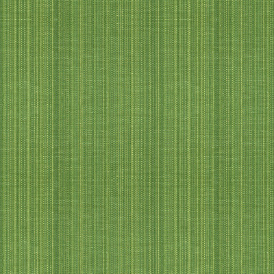 Lee Jofa 2015121.23.0 Francis Strie Upholstery Fabric in Grass/Green