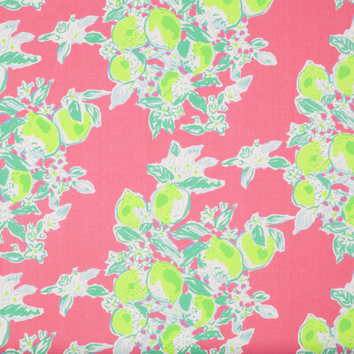 Lee Jofa 2016113.77.0 Pink Lemonade Multipurpose Fabric in Hotty Pink/Multi/Pink/Green