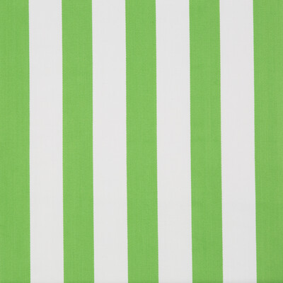 Lee Jofa 2016117.123.0 Surf Stripe Upholstery Fabric in Palm Green/Green
