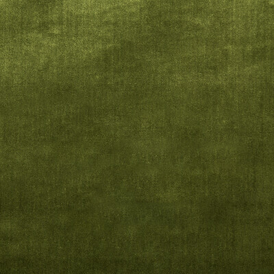 Lee Jofa 2016121.323.0 Duchess Velvet Upholstery Fabric in Olive/Olive Green/Green