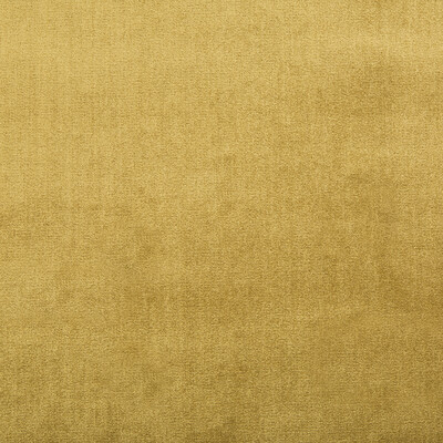Lee Jofa 2016121.40.0 Duchess Velvet Upholstery Fabric in Oro/Gold