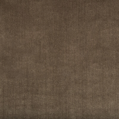 Lee Jofa 2016121.6.0 Duchess Velvet Upholstery Fabric in Mink/Brown/Taupe