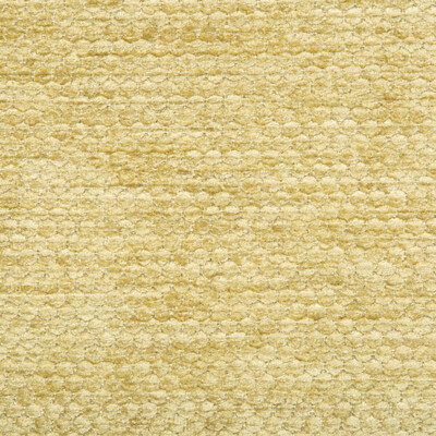 Lee Jofa 2016125.4.0 Lonsdale Upholstery Fabric in Straw/Gold