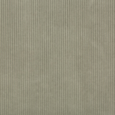 Lee Jofa 2017121.316.0 Saranac Cord Upholstery Fabric in Celadon/Khaki/Taupe/Neutral