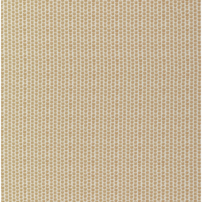 Lee Jofa 2017224.116.0 Kaya Ii Multipurpose Fabric in Wheat/Beige