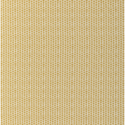 Lee Jofa 2017224.40.0 Kaya Ii Multipurpose Fabric in Maize/Yellow