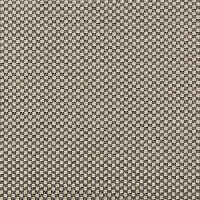 Lee Jofa 2018109.21.0 Alturas Upholstery Fabric in Charcoal/Black
