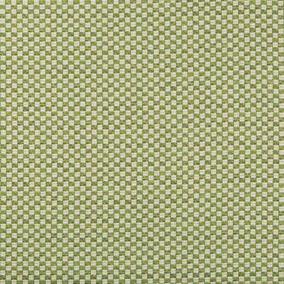 Lee Jofa 2018109.3.0 Alturas Upholstery Fabric in Leaf/Green