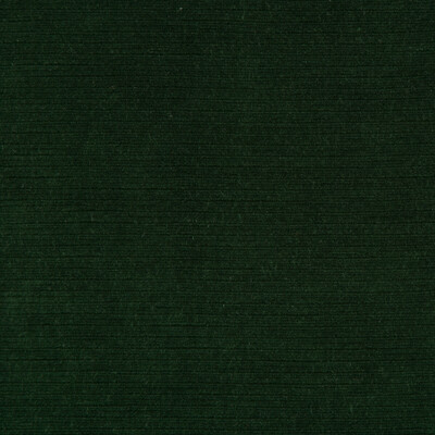 Lee Jofa 2018148.53.0 Gemma Velvet Upholstery Fabric in Emerald/Green