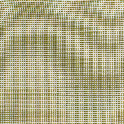 Lee Jofa 2019130.301.0 Portique Upholstery Fabric in Palm Green/Green/Chartreuse