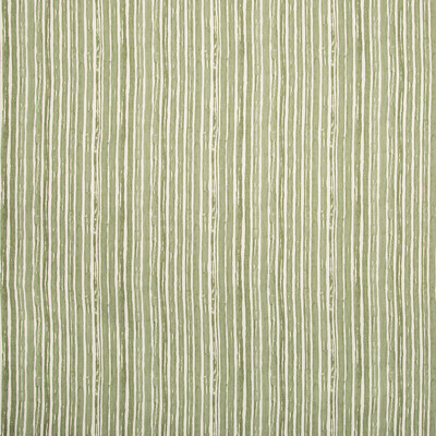 Lee Jofa 2019151.30.0 Benson Stripe Multipurpose Fabric in Pine/Green
