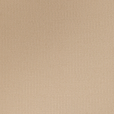 Lee Jofa 2020109.116.0 Entoto Weave Upholstery Fabric in Flax/Beige
