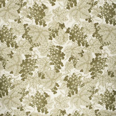 Lee Jofa 2020133.303.0 Farringdon Multipurpose Fabric in Green/Olive Green