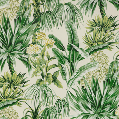 Lee Jofa 2020196.3034.0 Caluya Print Multipurpose Fabric in Palm/Green