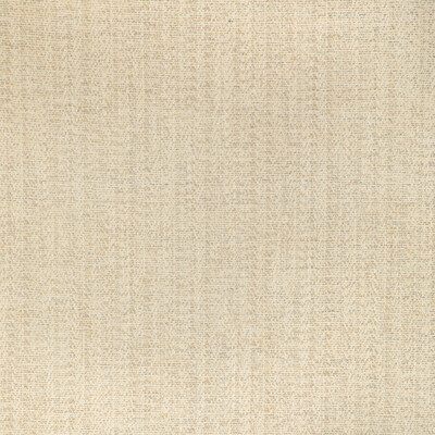 Lee Jofa 2021107.11.0 Alfaro Weave Upholstery Fabric in Stone/Grey/Light Grey