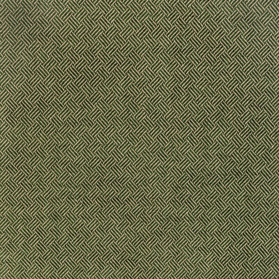 Lee Jofa 2021109.53.0 Leon Weave Upholstery Fabric in Hunter/Green