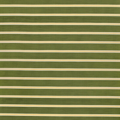 Lee Jofa 2024105.317.0 Horizon Stripe Multipurpose Fabric in Blushdkgreen/Green/Salmon