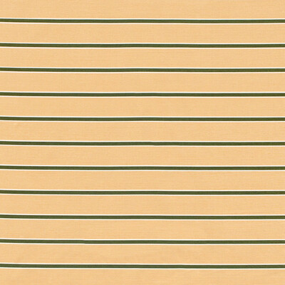 Lee Jofa 2024105.73.0 Horizon Stripe Multipurpose Fabric in Dkgreenblush/Salmon/Green