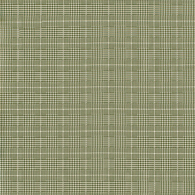 Lee Jofa 2024108.31.0 Pied De Poule Multipurpose Fabric in Dark Green/Green/Ivory