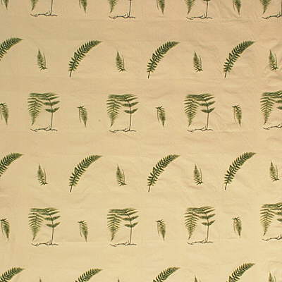Kravet 25432.3.0 Soft Fern Upholstery Fabric in Ivy/Beige/Green/Brown