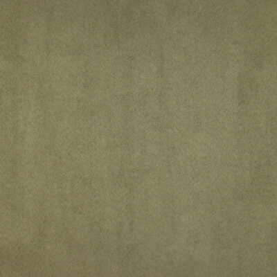 Kravet 25717.303.0 Kravet Basics Multipurpose Fabric in Green