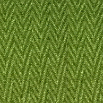 Kravet 25739.303.0 Kravet Design Upholstery Fabric in Green/Light Green