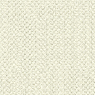 Kravet Design 25807.1.0 Kravet Design Upholstery Fabric in White