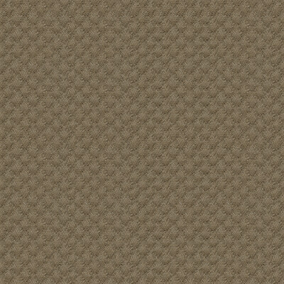 Kravet Design 25807.106.0 Kravet Design Upholstery Fabric in Taupe
