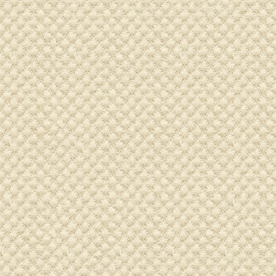 Kravet Design 25807.1116.0 Kravet Design Upholstery Fabric in Ivory