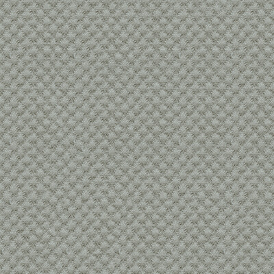 Kravet Design 25807.1121.0 Kravet Design Upholstery Fabric in Grey
