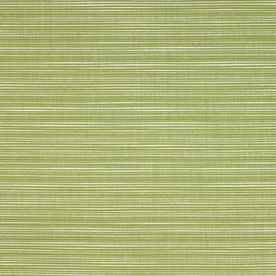 Kravet 27505.3.0 Kf Des:: Upholstery Fabric in Green/White