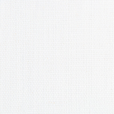 Kravet Basics 27591.101.0 Stone Harbor Multipurpose Fabric in White , White , Pearl