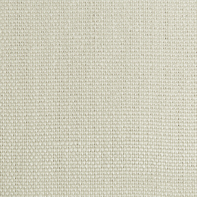 Kravet Basics 27591.1101.0 Stone Harbor Multipurpose Fabric in Silver , Silver , Moonlight