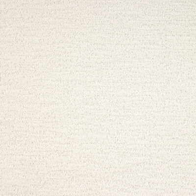 Kravet Design 28051.1.0 Loofah Upholstery Fabric in White , White , Glacier