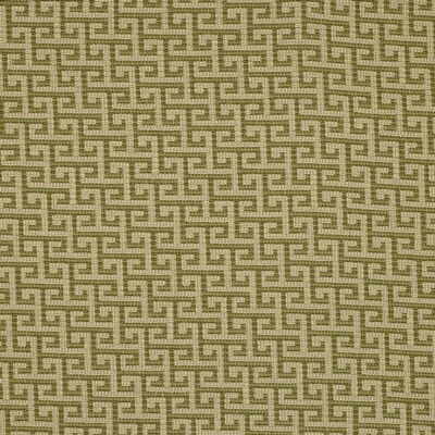 Kravet 29366.316.0 Orientation Upholstery Fabric in Avocado/Green/Beige
