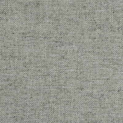 Kravet Couture 29619.11.0 Everyday Lux Upholstery Fabric in  ,  , Platinum