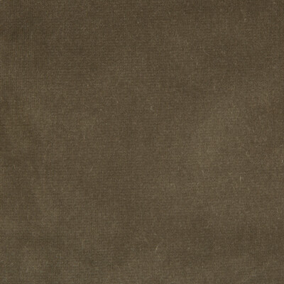 Kravet Design 29800.106.0 Endure Upholstery Fabric in Brown , Brown , Souris