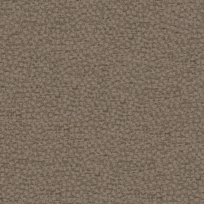 Kravet 29838.106.0 Behold Upholstery Fabric in Shale/Beige