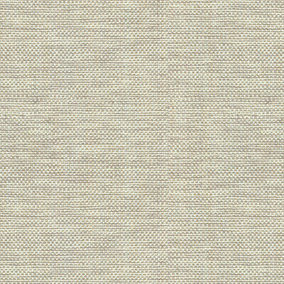 Kravet Basics 30299.106.0 Kravet Basics Multipurpose Fabric in Grey