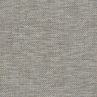 Kravet Basics 30299.11.0 Kravet Basics Multipurpose Fabric in Grey