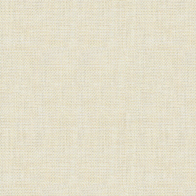 Kravet Basics 30299.111.0 Kravet Basics Multipurpose Fabric in White