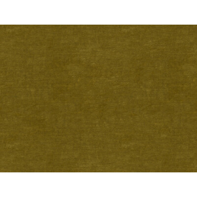 Kravet Couture 30356.303.0 Kravet Couture Upholstery Fabric in Green