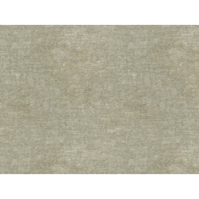 Kravet Couture 30356.311.0 Kravet Couture Upholstery Fabric in Green , Grey