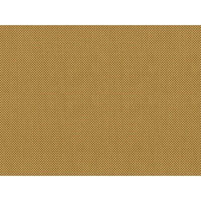 Kravet Design 30838.1616.0 Kravet Design Upholstery Fabric in Beige