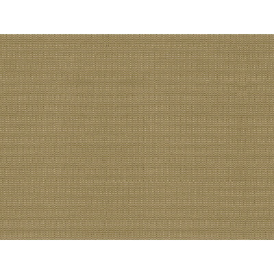 Kravet Basics 30840.1616.0 Kravet Basics Upholstery Fabric in Taupe
