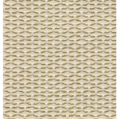 Kravet Design 31367.16.0 Kravet Design Upholstery Fabric in Beige