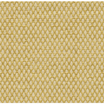 Kravet Design 31373.14.0 Kravet Design Upholstery Fabric in Yellow , Beige
